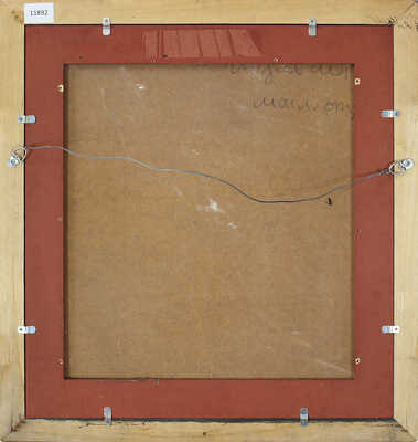 Шульгин Владимир Иванович. Зарождение Вселенной 